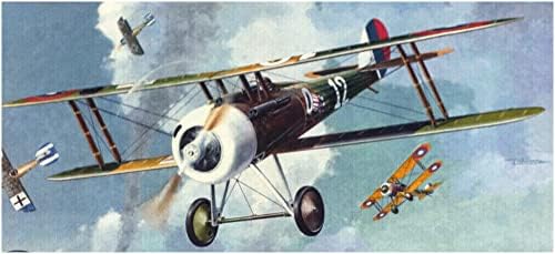 ローデン Roden RE48403 1/48 Първата Световна война Въздушен корпус на Армията на САЩ Newpole 28 Боец Пластмасов
