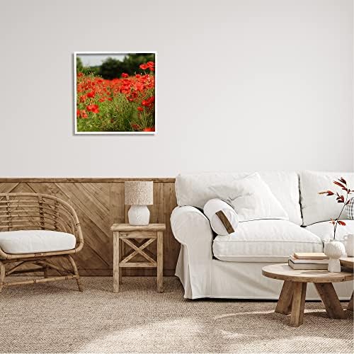 Stupell Industries Лъскав червен маковый поляна, живописен цвете, расцветающий монтиране на картина в рамка,
