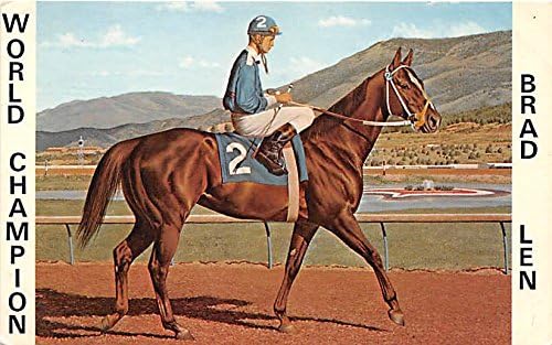 Световен шампион Брад Лен, 1967 Едмънд, щата Оклахома, Оклахома, САЩ Старата Реколта Картичка за конни надбягвания,